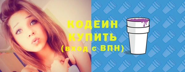 apvp Бородино
