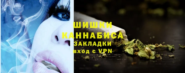 apvp Бородино