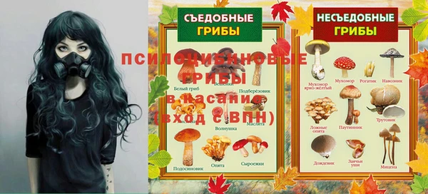 apvp Бородино
