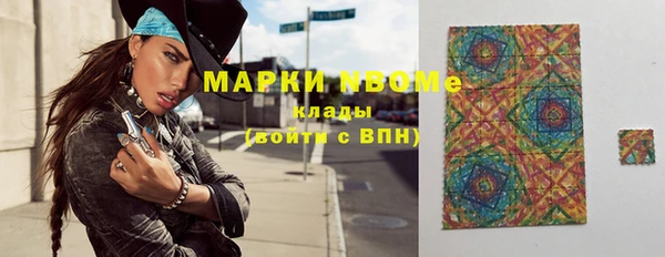 apvp Бородино