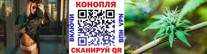 что такое   Кущёвская  Конопля AK-47 